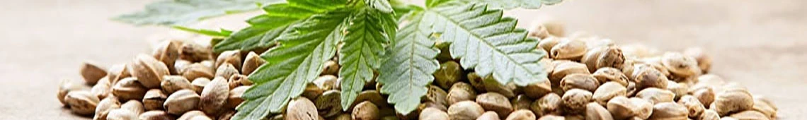 Bred In British Columbia